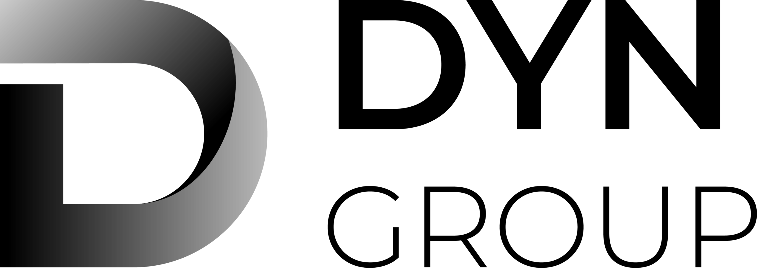 Logo DYN Group